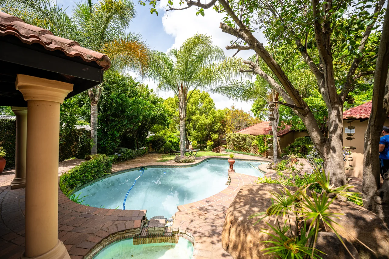Swimming pool surrounded by leafy gardens at Cambridge House